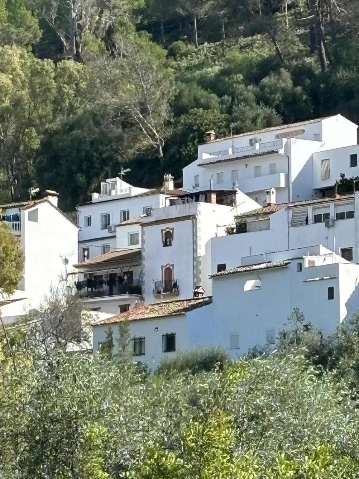 El Rincon De Las Higueras El Bosque Extérieur photo
